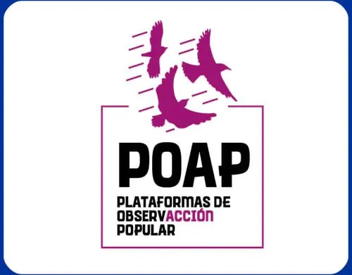 Proyecto POAP Plataformas de ObservAcción Popular