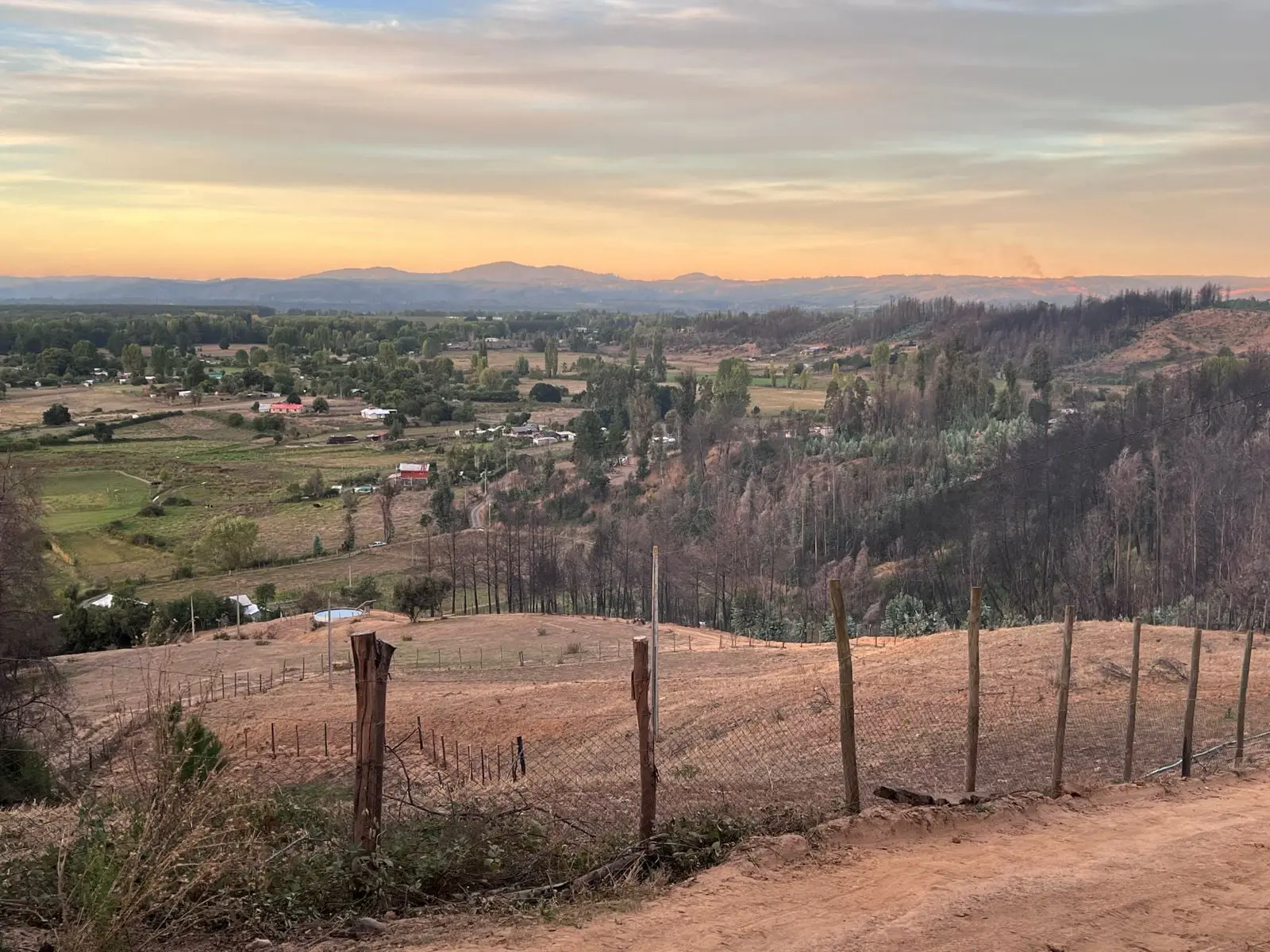 Proyecto Tres en acción